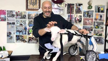 Merhametle Hayatı Değiştiren Usta