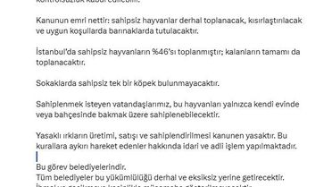 İstanbul Valisi Davut Gül: 'Sahipsiz hayvanların yüzde 46'sı toplanmıştır; kalanların tamamı da toplanacaktır'