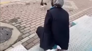 Kedinin yüzüne sprey sıkan market çalışanı gözaltına alındı