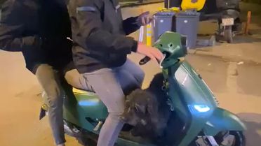 Sokak Köpeği Motosiklete Bindi