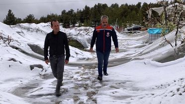 Mersin'de Kar Yağışı Sonrası Tarım Çalışmaları