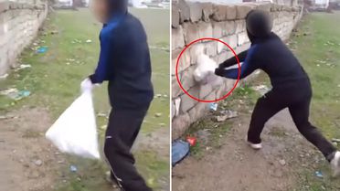 Van'da bir grup çocuk kediye böyle eziyet etti! Çuvala koyup duvara vurdular