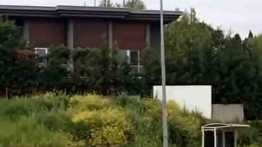 Bursa'da Domuz Sürüsü Şehir Merkezine İndi