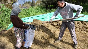 Aydın'da Hayvancılık Canlanıyor