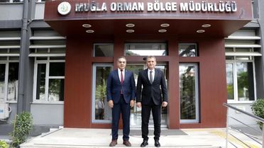 Aydın'da Kestane Ağaçları İçin Biyolojik Mücadele