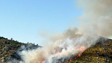 Marmaris'te Yangın: Alevler Yayılıyor