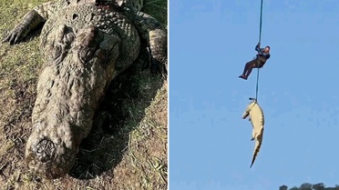 Kayıp kişileri o mu yedi? Dev timsahın midesinden 6 çift terlik çıktı