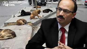 Köpeklerle ilgili sözleri gündem yaratan Osman Mesten'den ilk açıklama