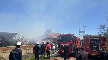 Ordu'da 3 katlı binada yangın