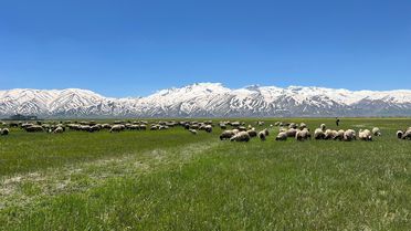 Yüksekova'nın Bahar Güzelliği