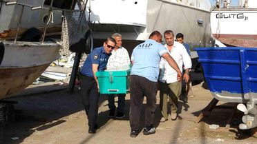 Mersin'de Balıkçı Barınağında Erkek Cesedi Bulundu