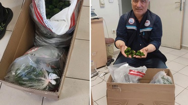 Kapıkule'de şaşkına çeviren operasyon: Yolcu otobüsünde 2 bin adet canlı yeşil alg ele geçirildi