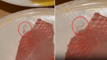 Restoranda şoke eden görüntü! Tabakta hareket eden canlı parazit buldu