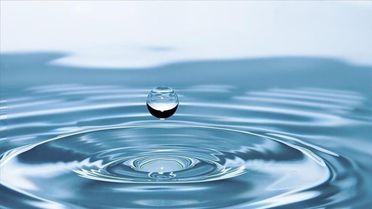 Şanlıurfa’da su zirvesi! Ulusal Su Planı masaya yatırılacak