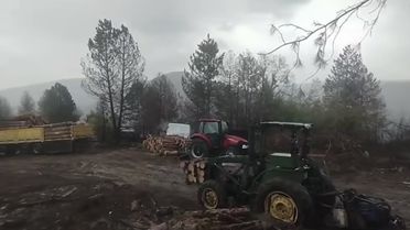 Orman işçilerinin yakınına yıldırım düştü; o anlar kamerada