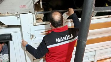Kurban Bayramı Öncesi Hayvan Nakil Denetimleri