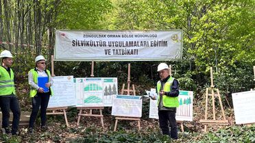 Zonguldak'ta Silvikültür Eğitimleri Tamamlandı