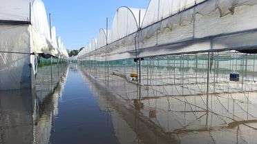 Amasya'da Sel Tarım Arazilerini Vurdu