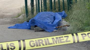 Yangından kurtulmuştu, sokakta böyle bulundu