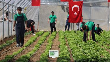 Keşan'da Lisede Serada Hasat Yapıldı