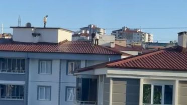 Samsun'da İHA Düşmesi: Araştırma Başlatıldı