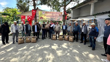 Koçarlı’da 3.600 kg Ayçiçeği Tohumu Dağıtımı Yapıldı
