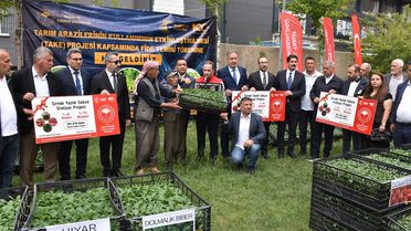 Şırnak'ta çiftçilere 361 bin fide dağıtıldı