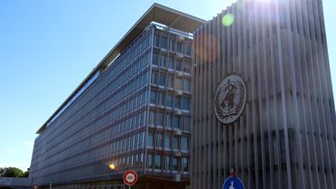 Hantavirüs Salgını: Vaka Sayısı 12'ye Yükseldi