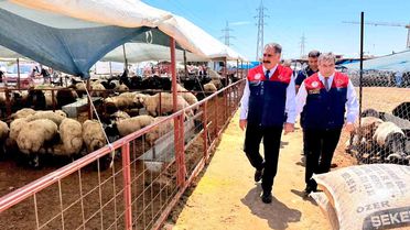 Mersin'de Kurbanlık Satış Denetimleri