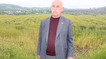 Bafra'da Hububat Rekoltesi 100 Bin Ton Bekleniyor