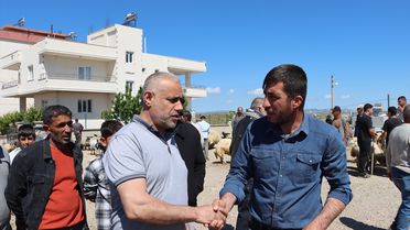 Midyat'ta Kurban Satışları Canlandı