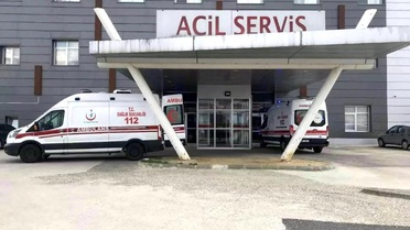 Arı Saldırısı: Yaşlı Çift Hastanelik Oldu
