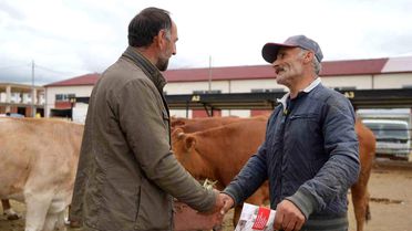 Bayburt'ta Kurbanlık Fiyatları