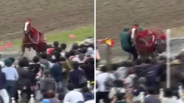 Japonya'da festivalde at kalabalığın arasına daldı: 6 yaralı