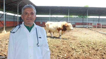 Kurban Kesiminde Dikkat Edilmesi Gerekenler