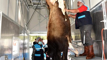 Kurban kesim kurallarına uymayanlara ceza yağacak
