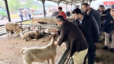 Şahin ve Çetinkaya'dan Kurban satış alanına ziyaret