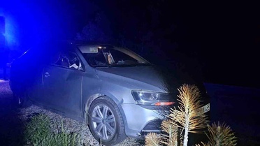 Geyiğe Çarpan Otomobilde 2 Yaralı