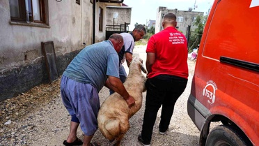 Tarsus Belediyesi, şehit ailelerine kurban desteği