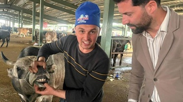 Tavşanlı'da Kurban Pazarı Yoğunluğu