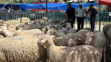 Tekirdağ'da Kurban Bayramı Hareketliliği