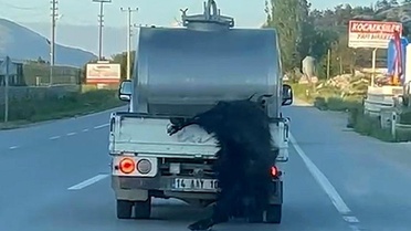 Bolu'da Sürücüye 31 Bin Lira Ceza