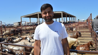 Mardin'de Hayvan Pazarında Bayram Yoğunluğu