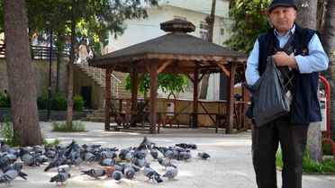 Bayramda ailesini bırakıp güvercinlerine koştu