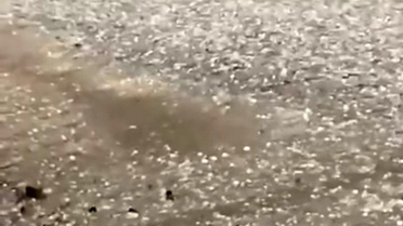 Tekirdağ'da sağanak ve dolu etkili oldu : Yollar göle döndü, ulaşım aksadı