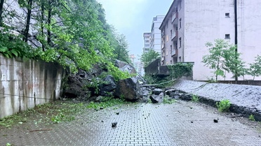 Artvin'de Sağanak: Dere Taştı, Yollar Hasar Gördü