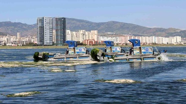 Büyükşehir'den Körfez'de temizlik mesaisi