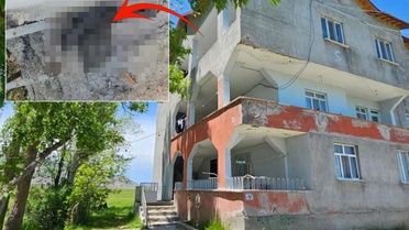 Evi 3 metrelik yılanlar bastı! Geceleri uyku uyuyamıyorlar