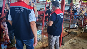 Nazilli'de Hijyenik Kurban Kesimi