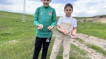 Bayramda Mantar Şenliği